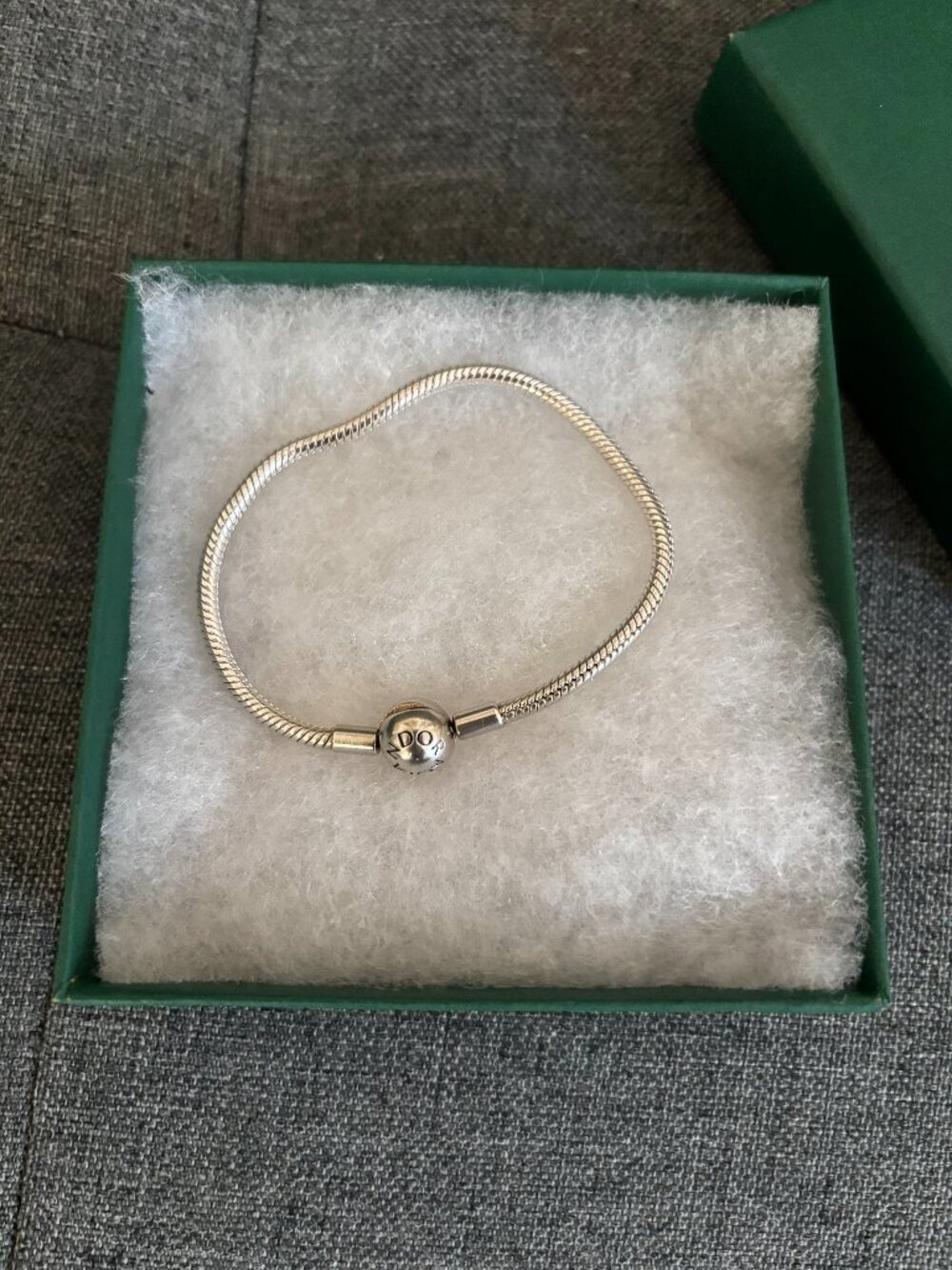 Pandora Charm Bracelet
